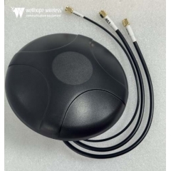 Antena de transporte Puck